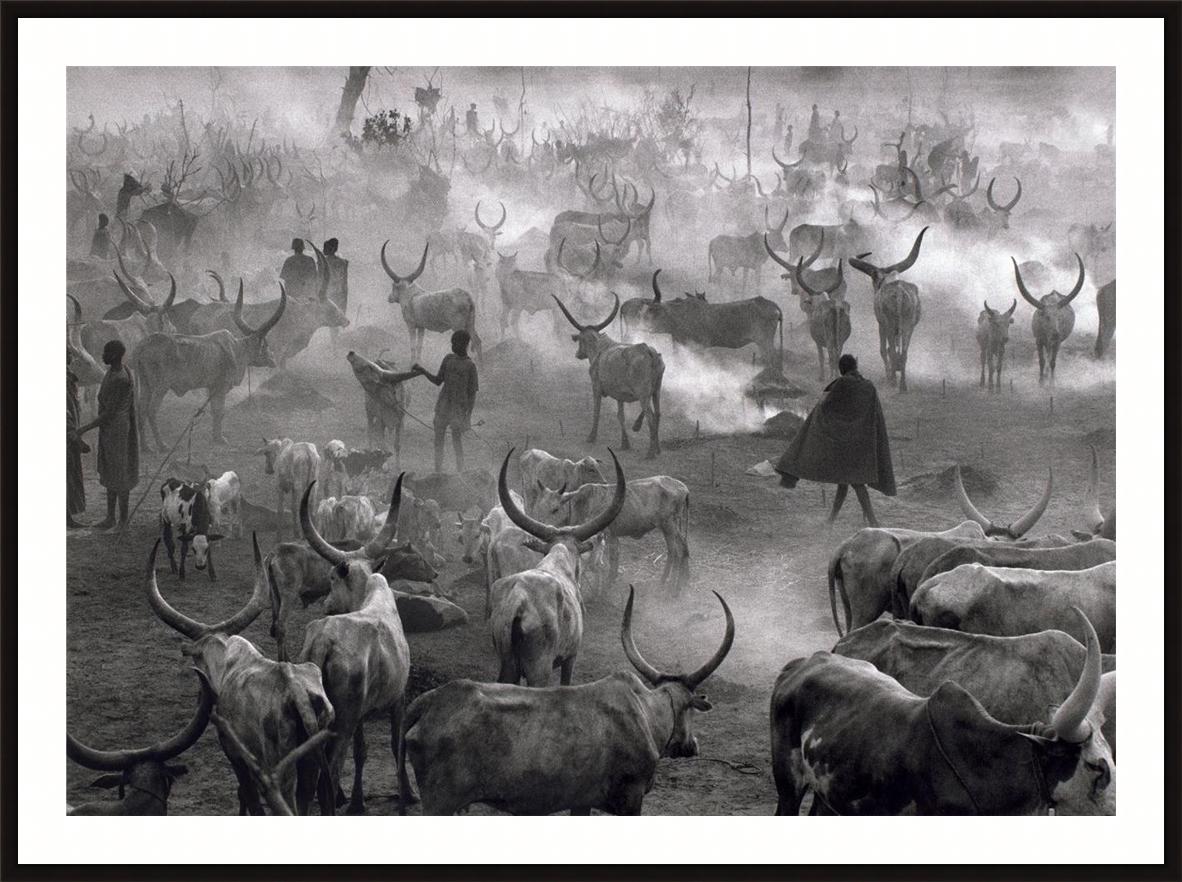 Dinka Cattle Camp of Amak, Southern Sudan - Photograph by Sebastião Salgado