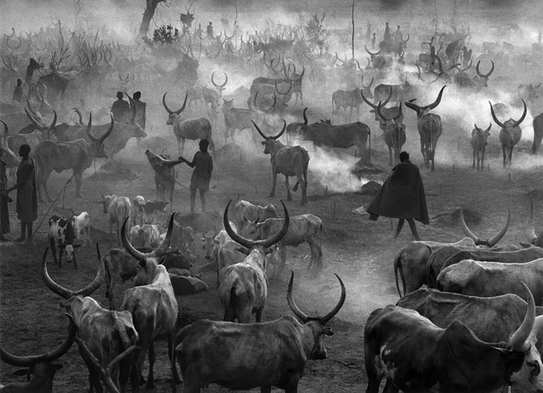 Black and White Photograph Sebastião Salgado - Camp de bovins Dinka d'Amak, sud du Sudan
