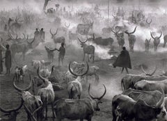 Dinka Cattle Camp of Amak, Southern Sudan