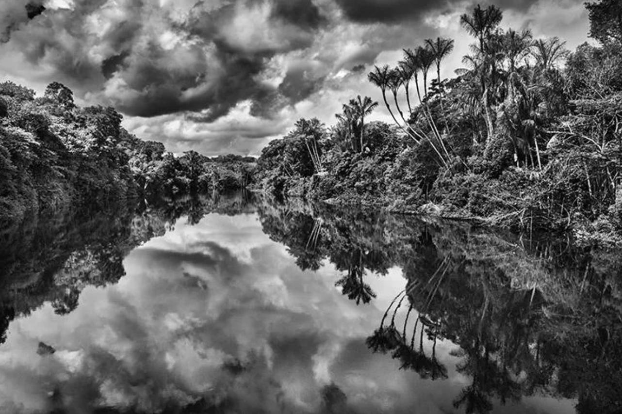 Black and White Photograph di Sebastião Salgado - Fiume Jaú, Parco Nazionale di Jaú