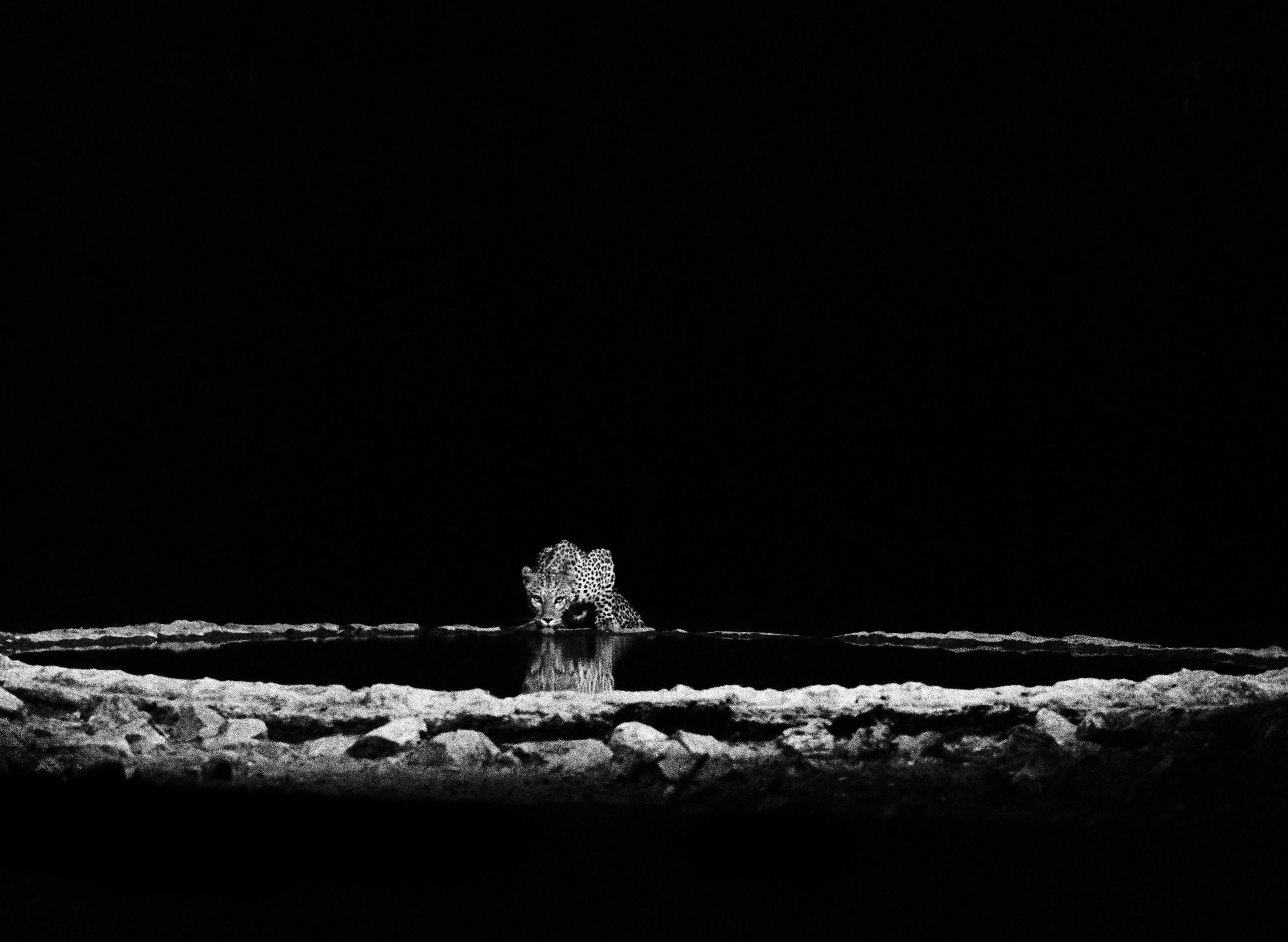 Sebastião Salgado Landscape Photograph - Leopard in the Barab River Valley, Damaraland. Namibia