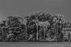 Sebastião Salgado - Arcipelago di Anavilhanas, Brasile, 2019, Stampato Dopo