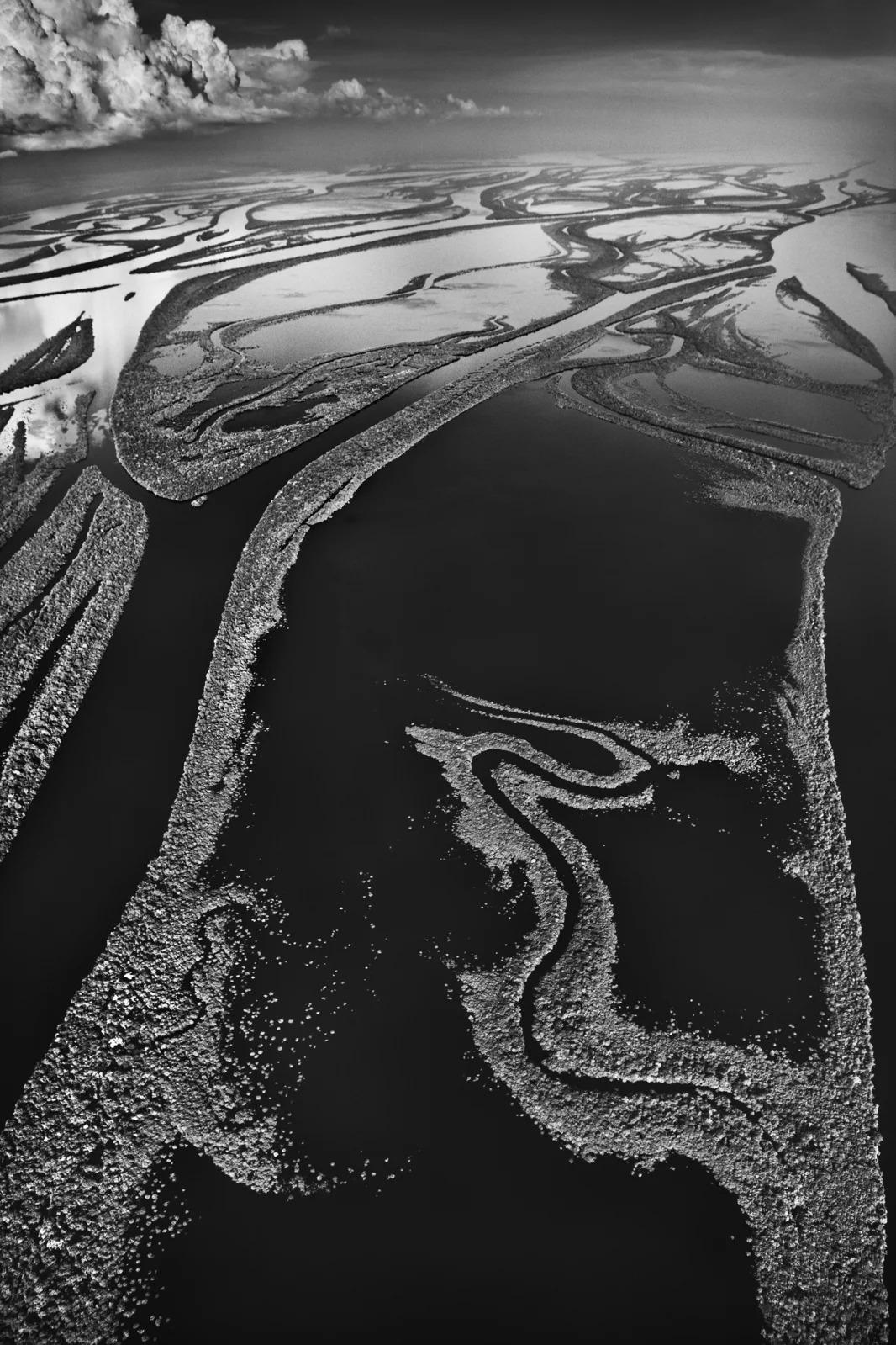 Sebastião Salgado - Parco nazionale di Anavilhanas, Brasile, 2009, Stampa dopo