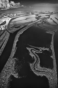 Sebastião Salgado - Parco nazionale di Anavilhanas, Brasile, 2009, Stampa dopo