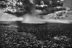 Sebastião Salgado - Parque Nacional de Serra do Divisor, Brasil, 2016, Impresión posterior