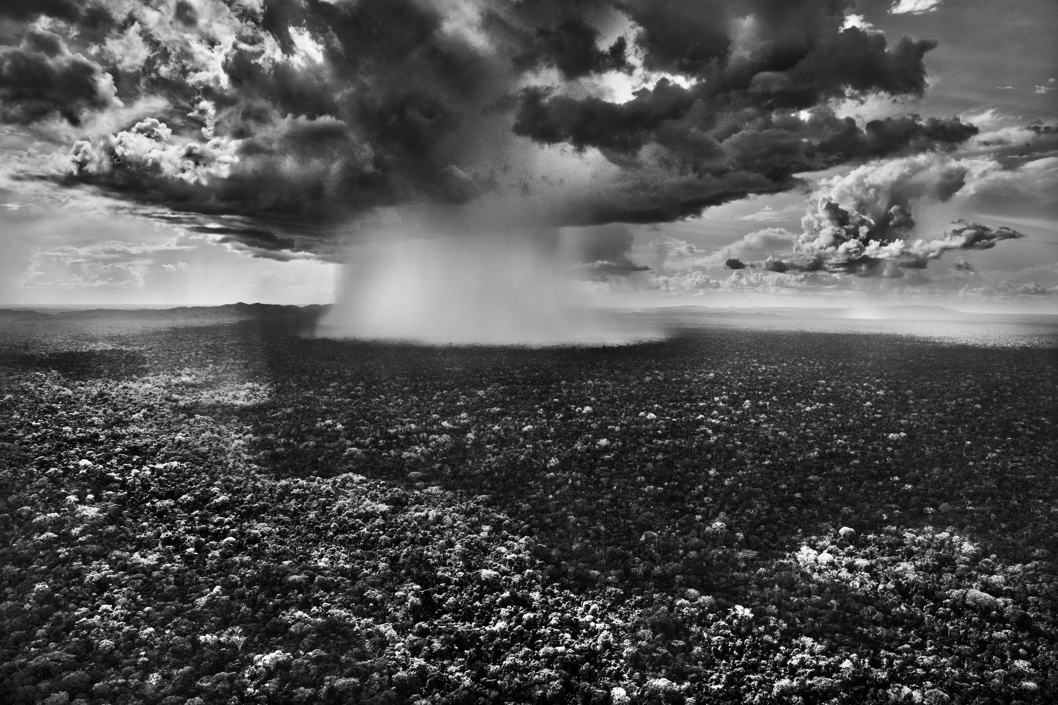 Sebastião Salgado - Parco nazionale di Serra do Divisor, Brasile, 2016, Stampato Dopo
