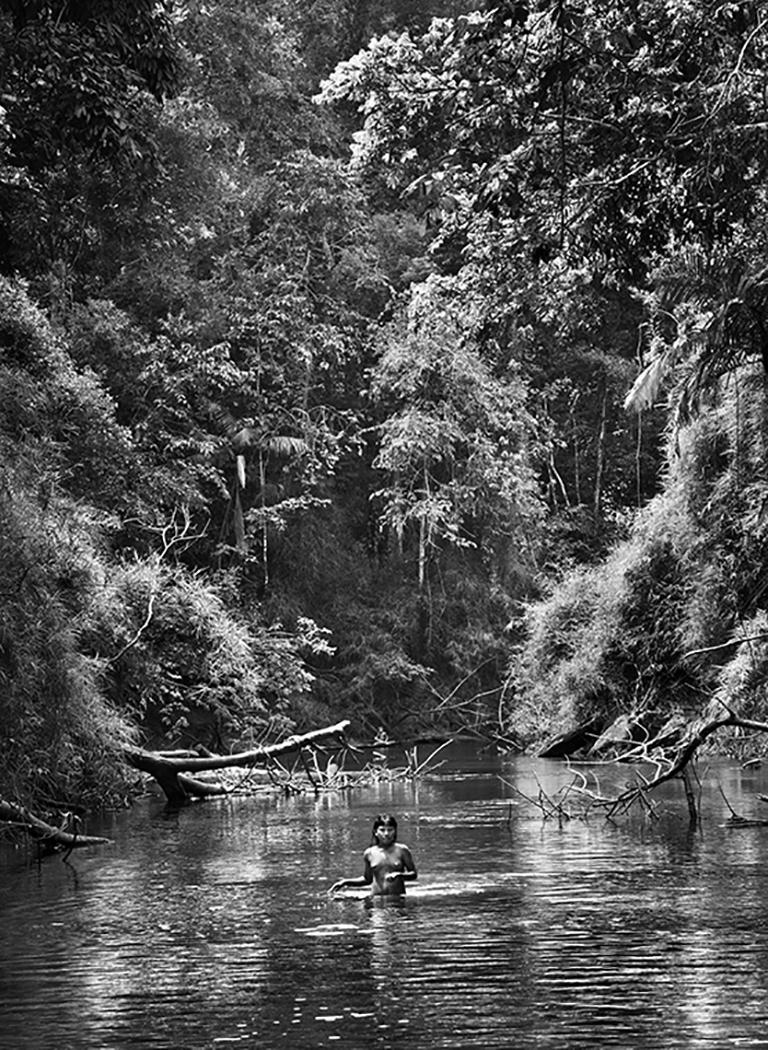 Sebastião Salgado Landscape Photograph - Suruwaha, Amazonas, Brazil