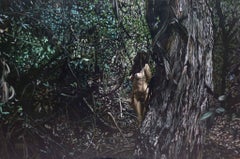 La verdadera Naturaleza