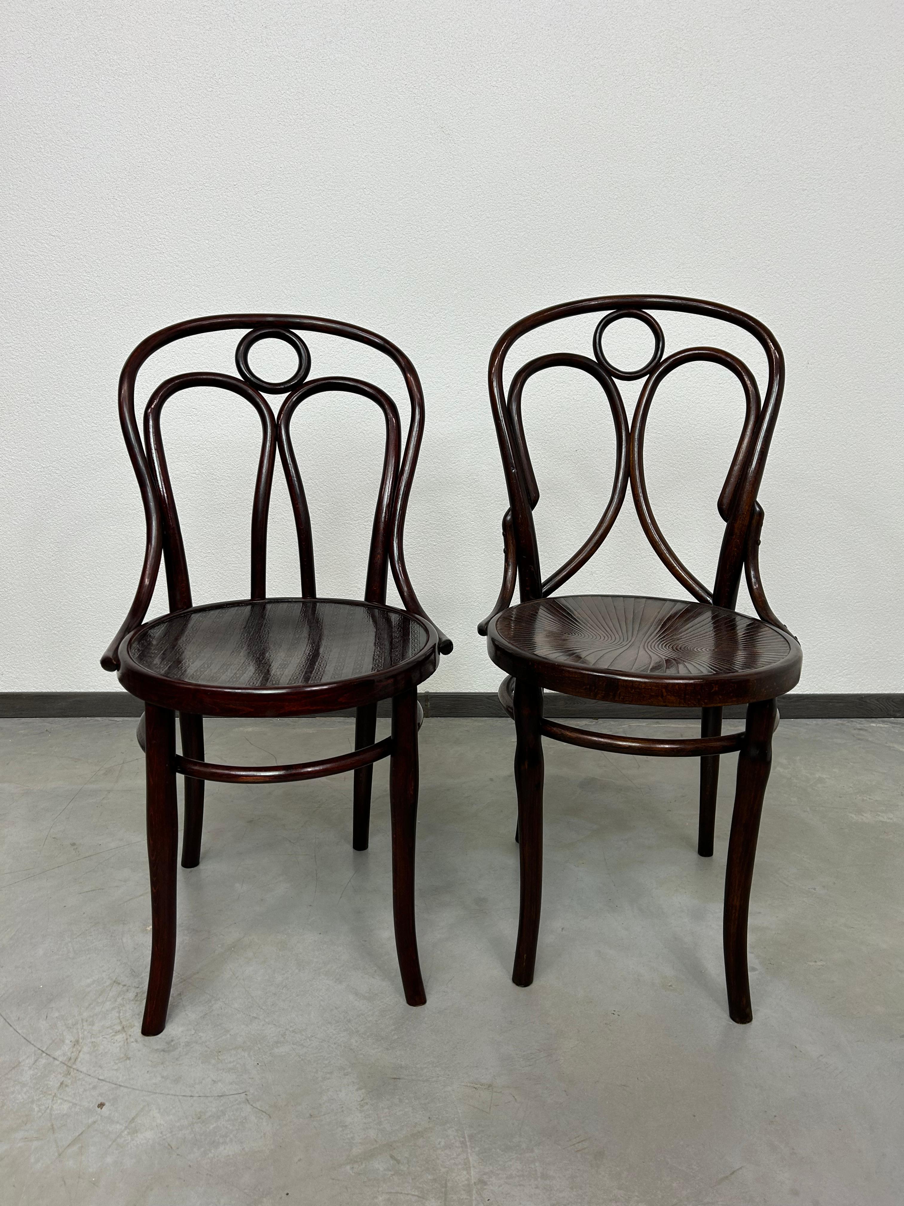 Chaises de salle à manger de la Sécession Thonet n° 19 et Kohn n° 36, teintées et repolies de manière professionnelle.