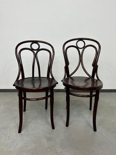 Secession dining room chairs Thonet no.19 and Kohn no.36