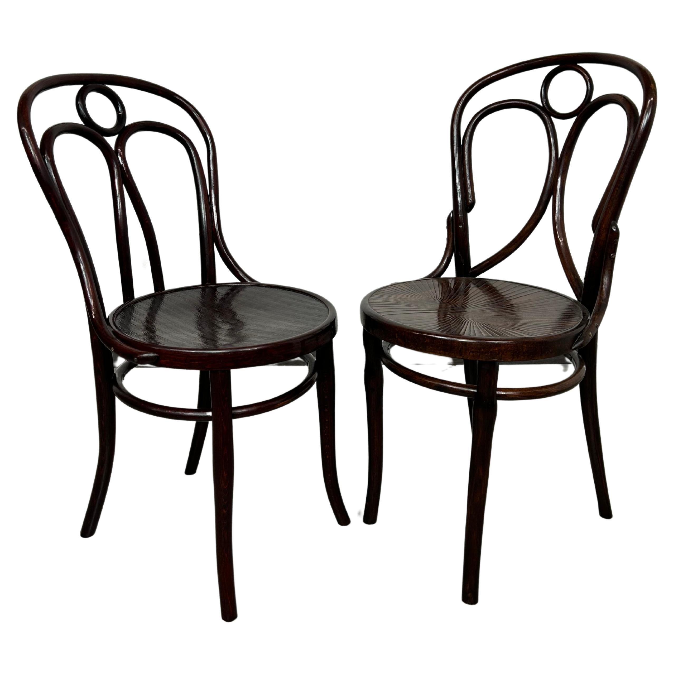Secession dining room chairs Thonet no.19 and Kohn no.36 For Sale