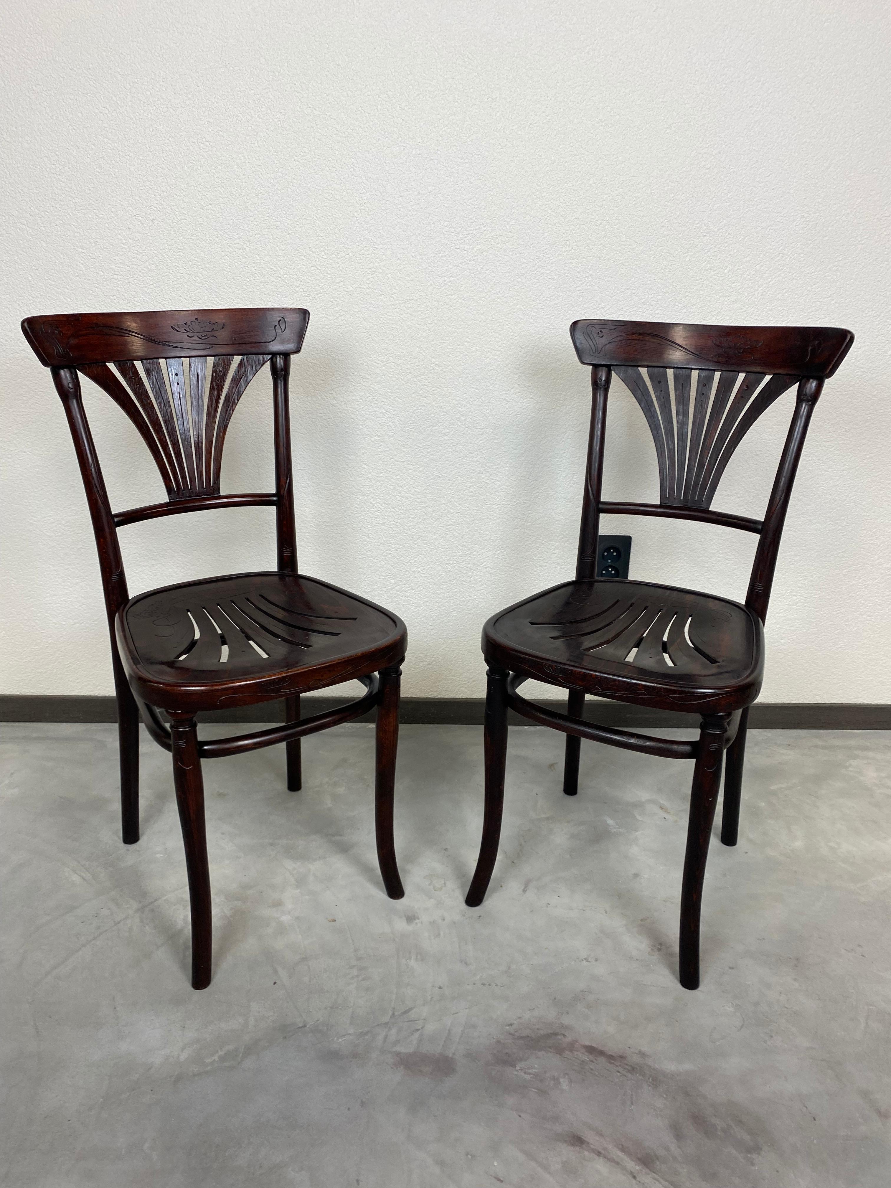Secession Thonet dining chairs no.221 with carved flowers. Professionally stained and repolished.