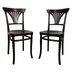 Thonet-Esszimmerstühle der Secession Nr.221