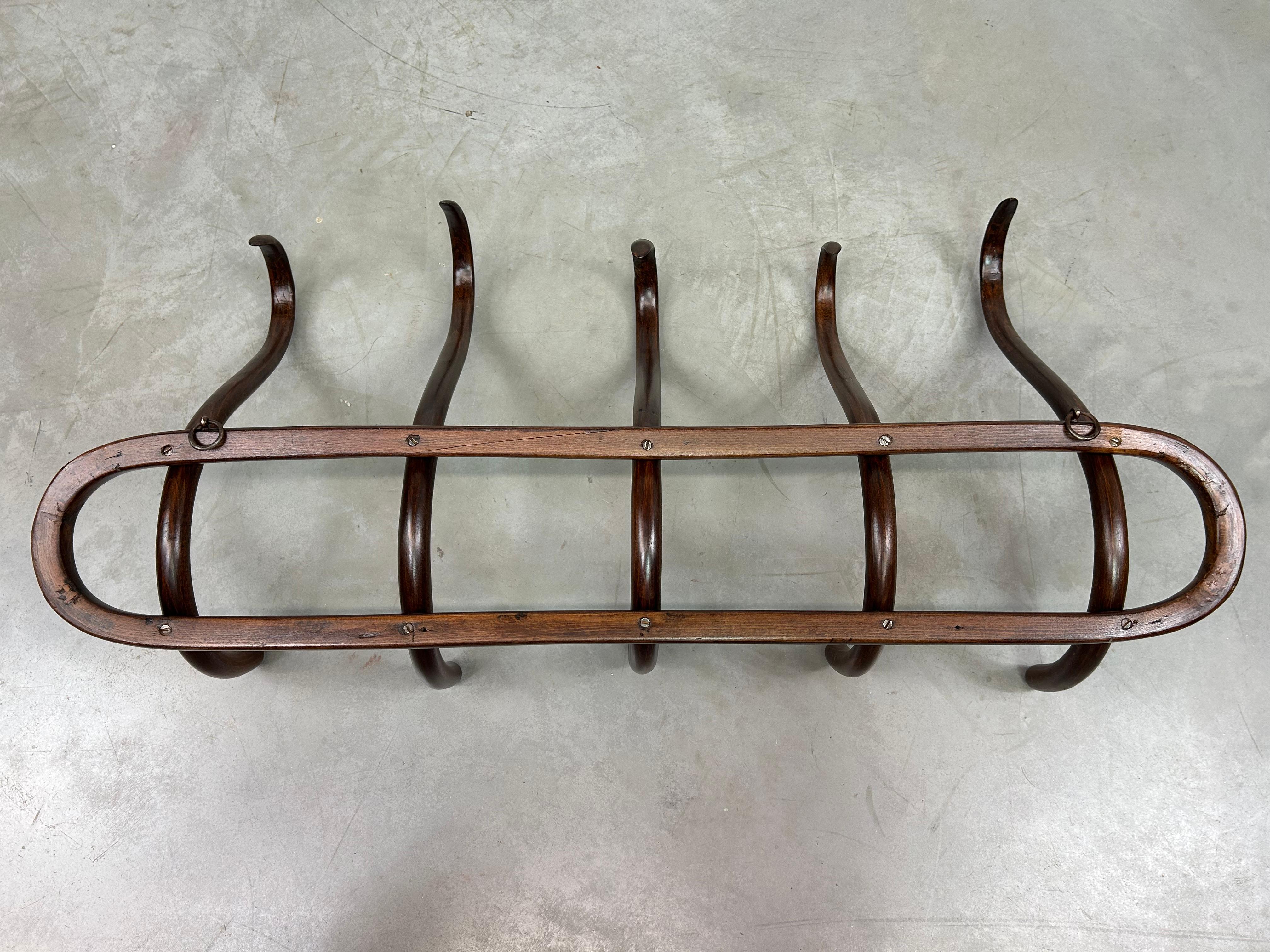 Beech Secession wall hanger by Thonet