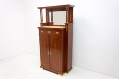 Secessionist Mahogany Display Cabinet, Austria, 1910