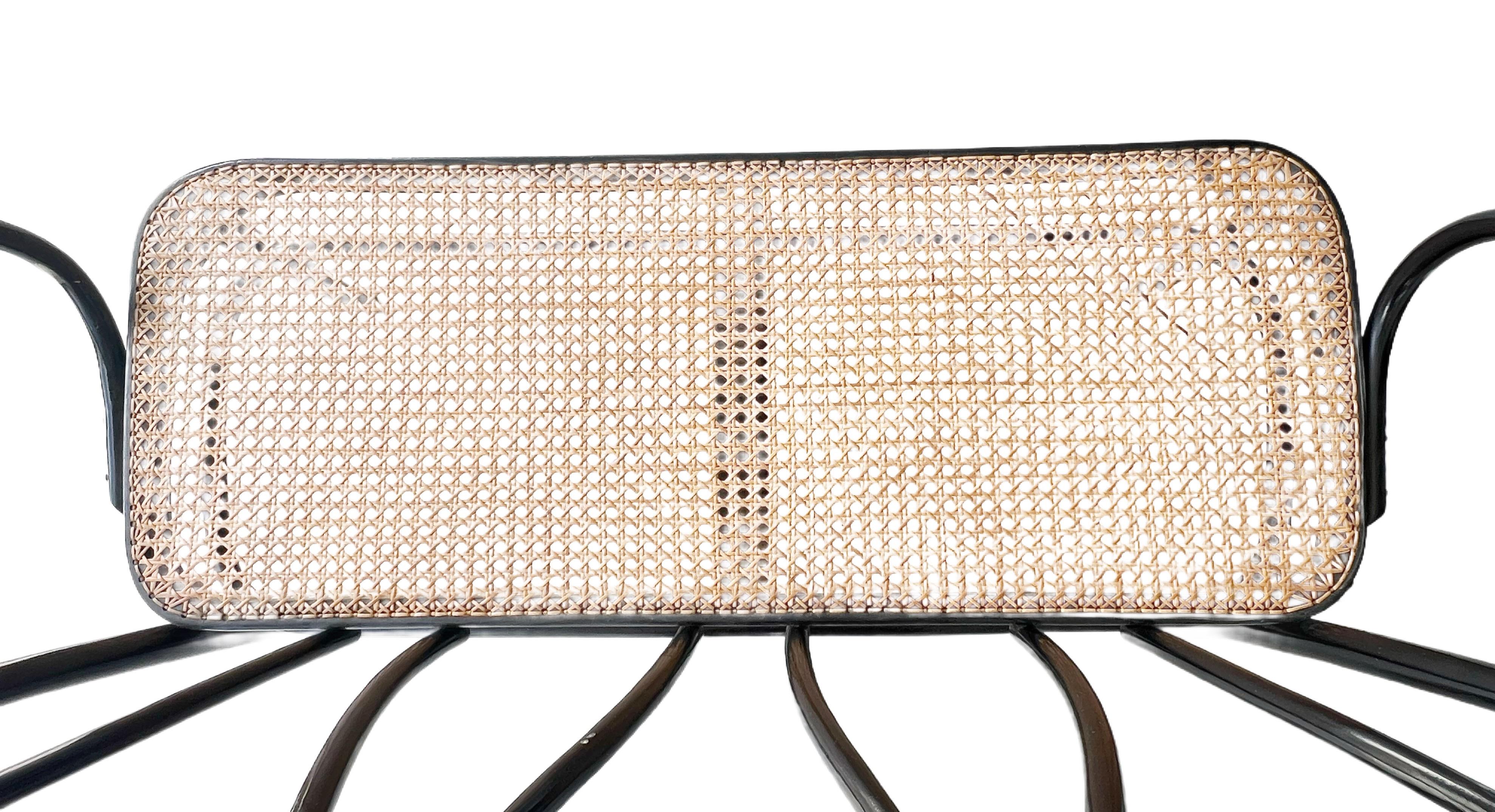 Secessionistisches Sofa aus Bugholz und Rohrgeflecht Mid Century von CMG Thonet im Angebot 1