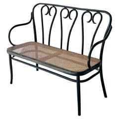 Secessionist Style Bentwood and Cane Settee Mid Century by CMG Thonet