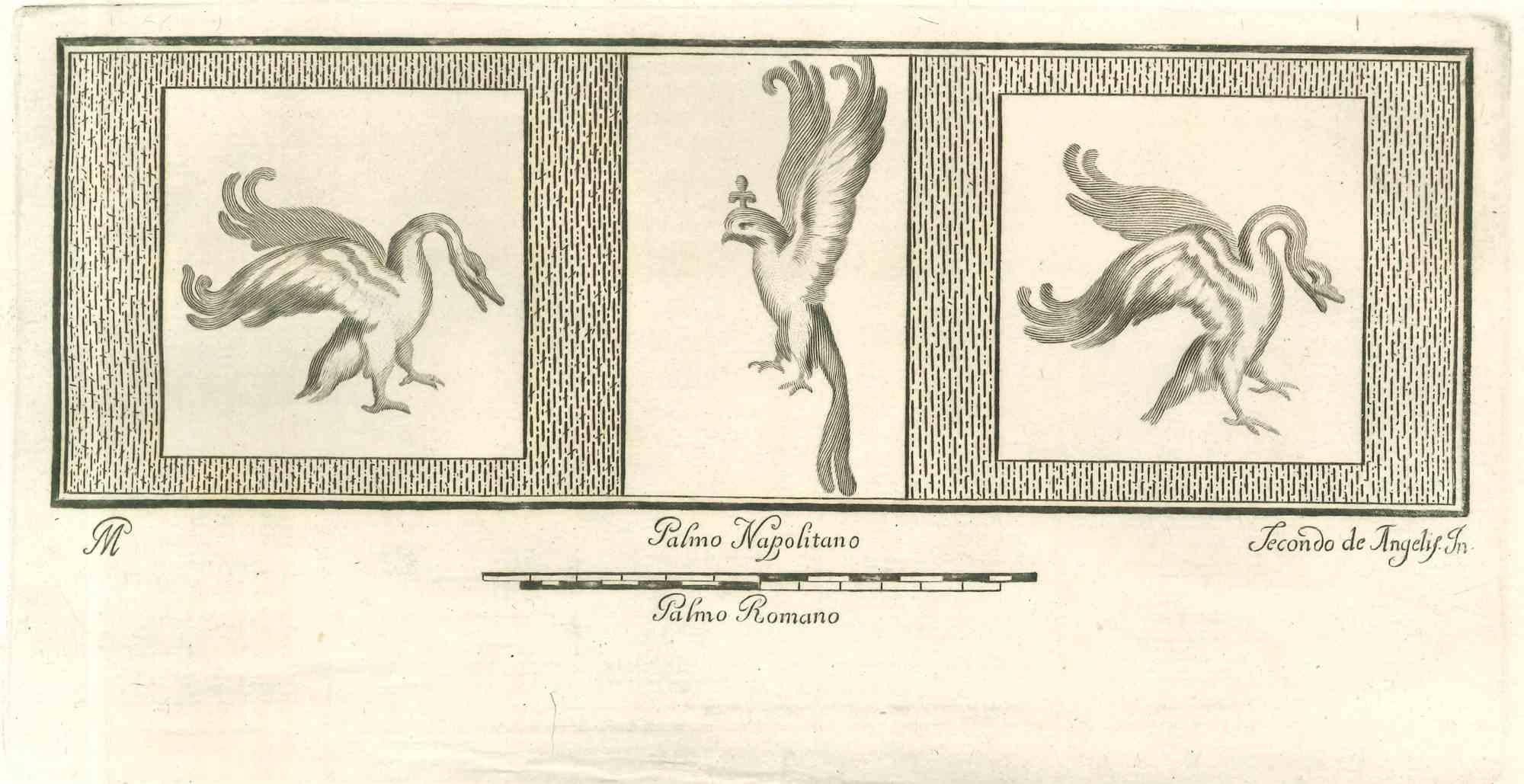 Birds Pompeian Fresco from "Antiquities of Herculaneum" is an etching on paper realized by Secondo De Angelis in the 18th Century.

Signed on the plate.

Good conditions.

The etching belongs to the print suite “Antiquities of Herculaneum Exposed”