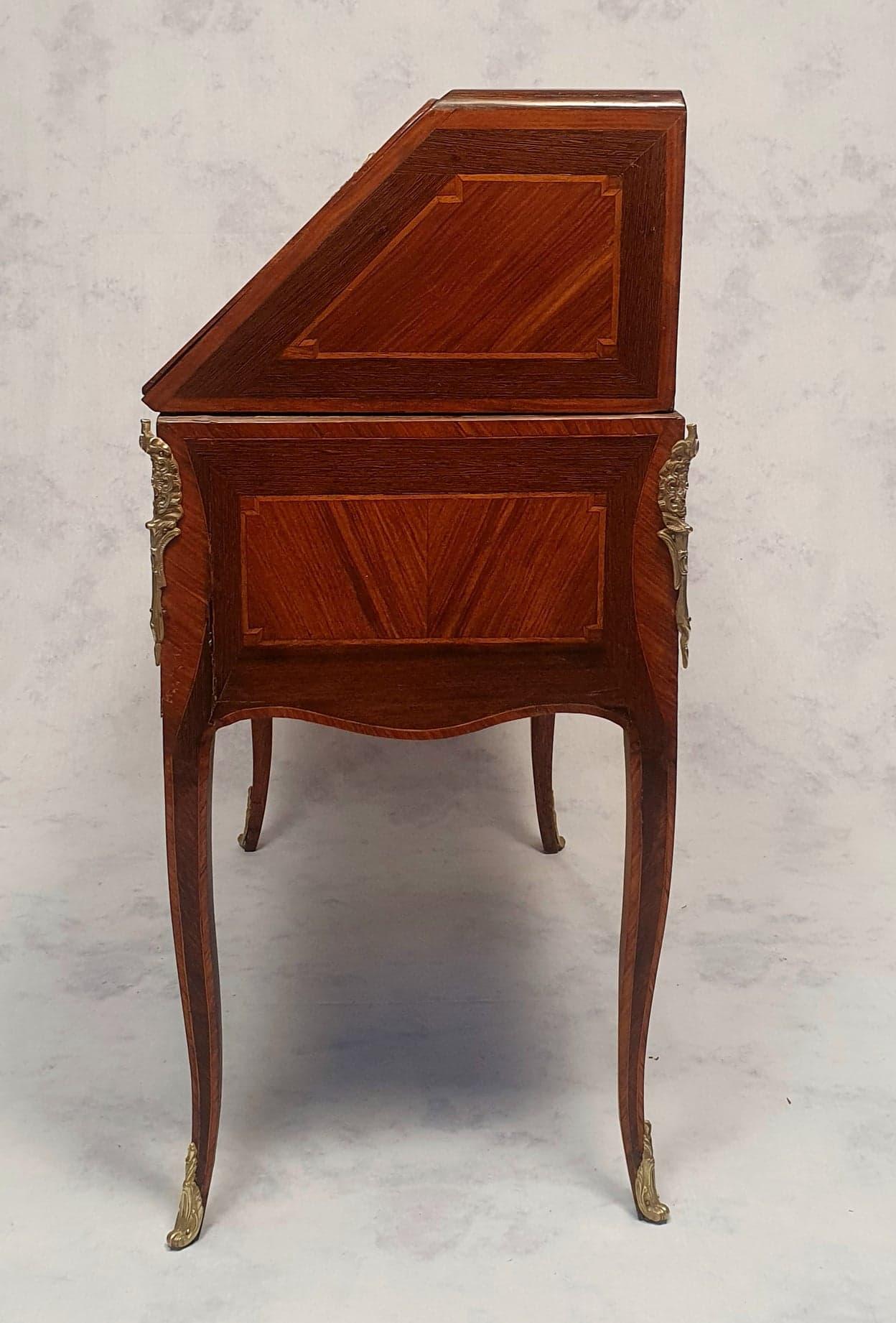 18th Century Secretary Period Transition Louis XV, Louis XVI, Palissander & Rosewood, 18th For Sale
