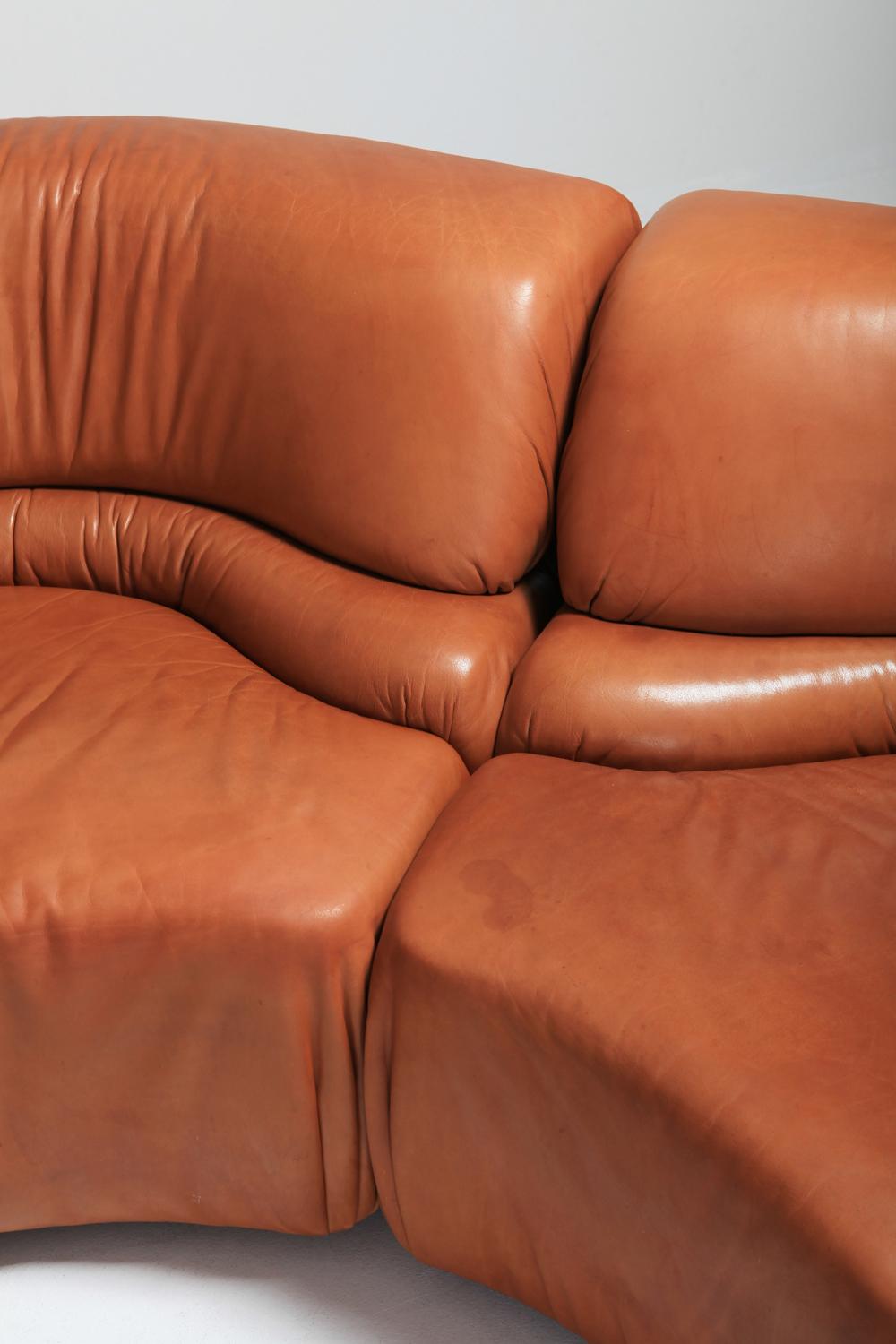 Sectional Cognac Leather Sofa 'Cosmos' by De Sede, Switzerland 5