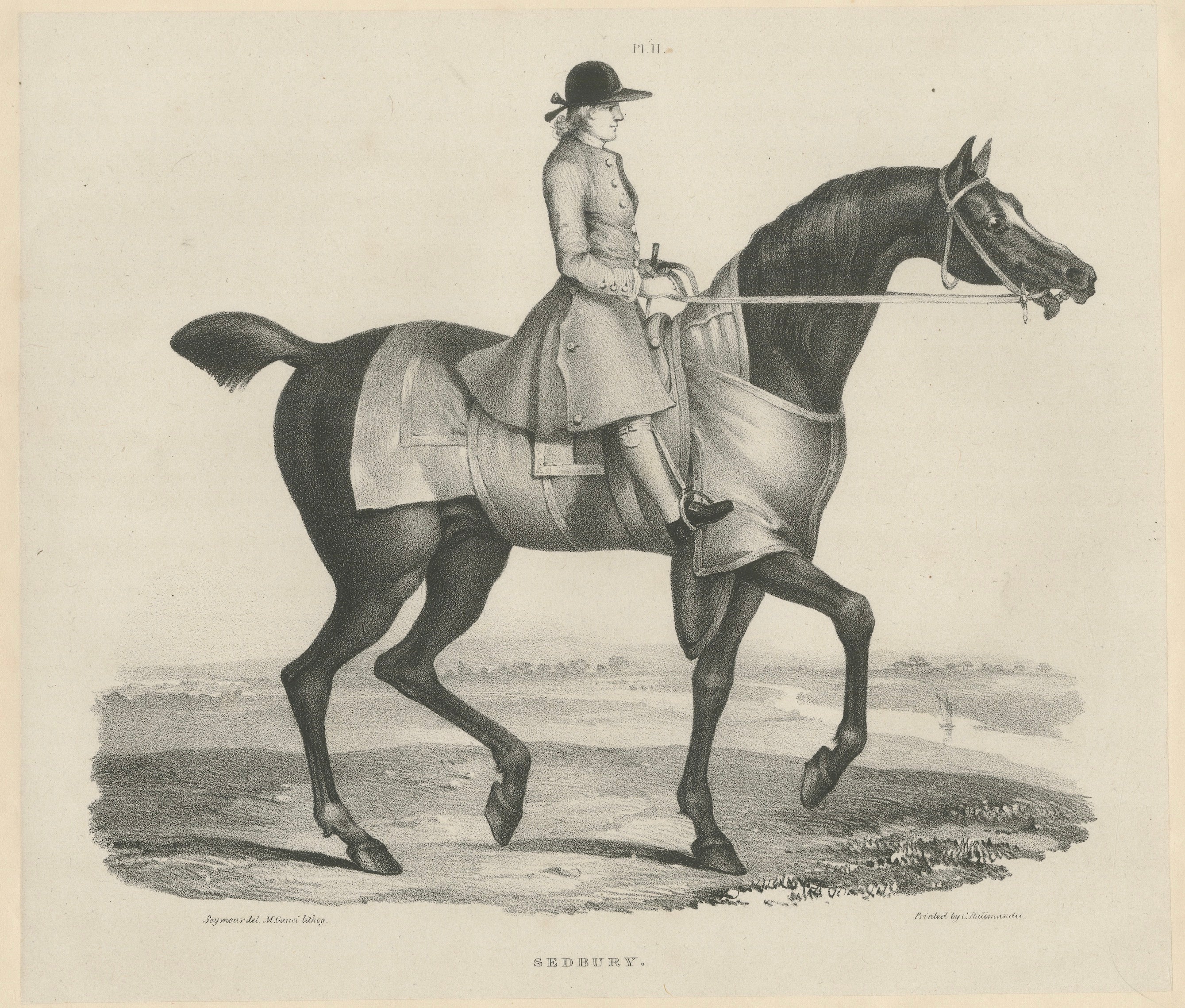 Sedbury - Portrait équestre ancien de cheval et de cavalier, Gauci & Hullmandel c.I.C.