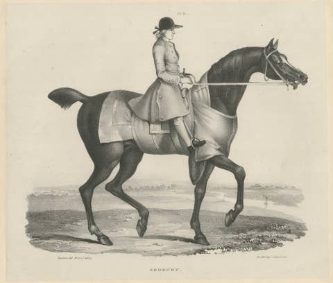 Sedbury – Antique Equestrian Horse & Rider Portrait, Gauci & Hullmandel c.1840