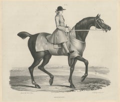 Sedbury - Antikes Pferde- und Reiterporträt, Gauci & Hullmandel um 1840