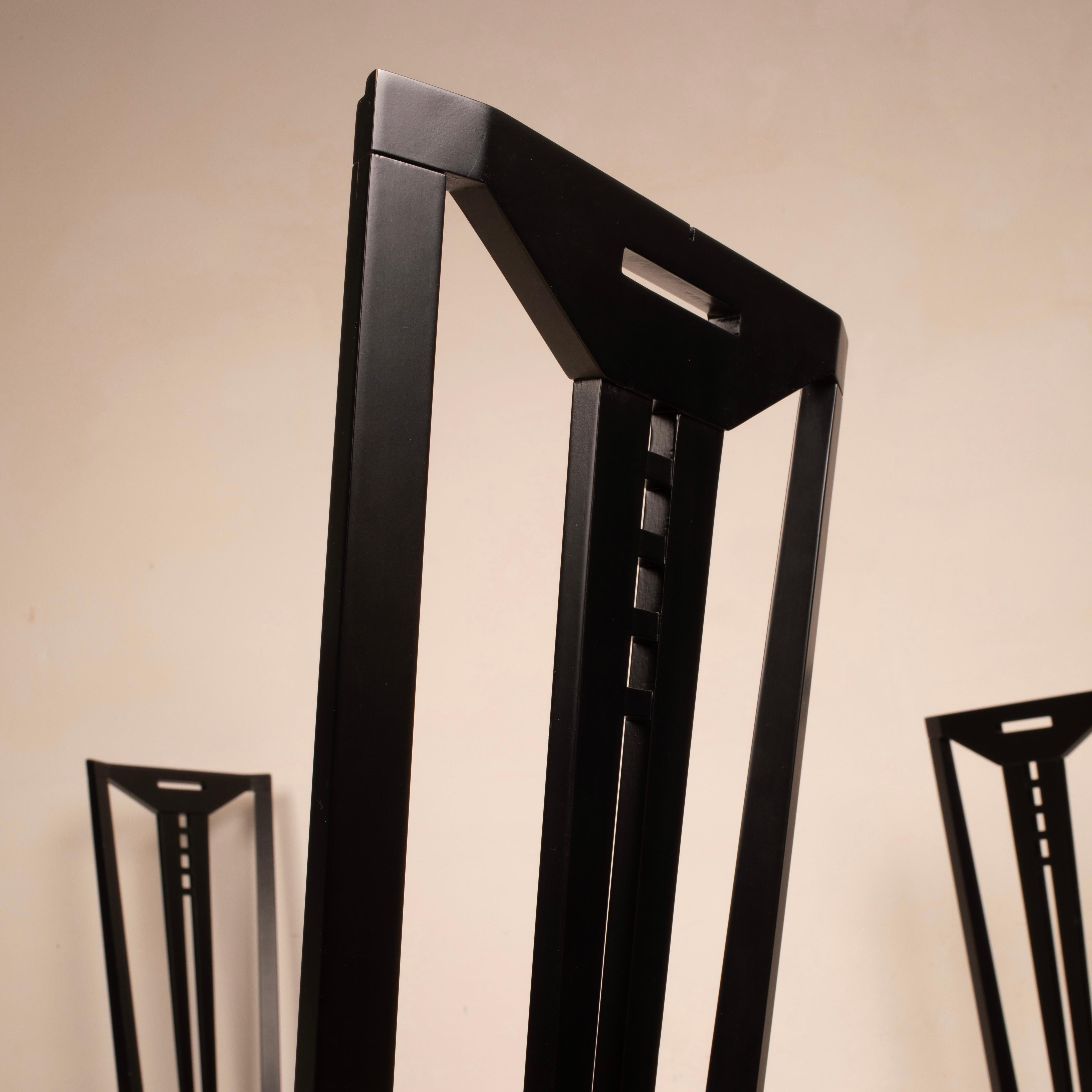 Mid-Century Gallery Chairs by Asnago and Pozzi for Giorgetti, 1970's For Sale 8
