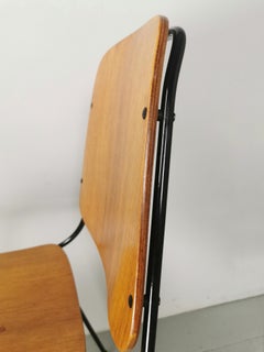 Sedie legno teak curvato Augusto Bozzi per Saporiti 1950