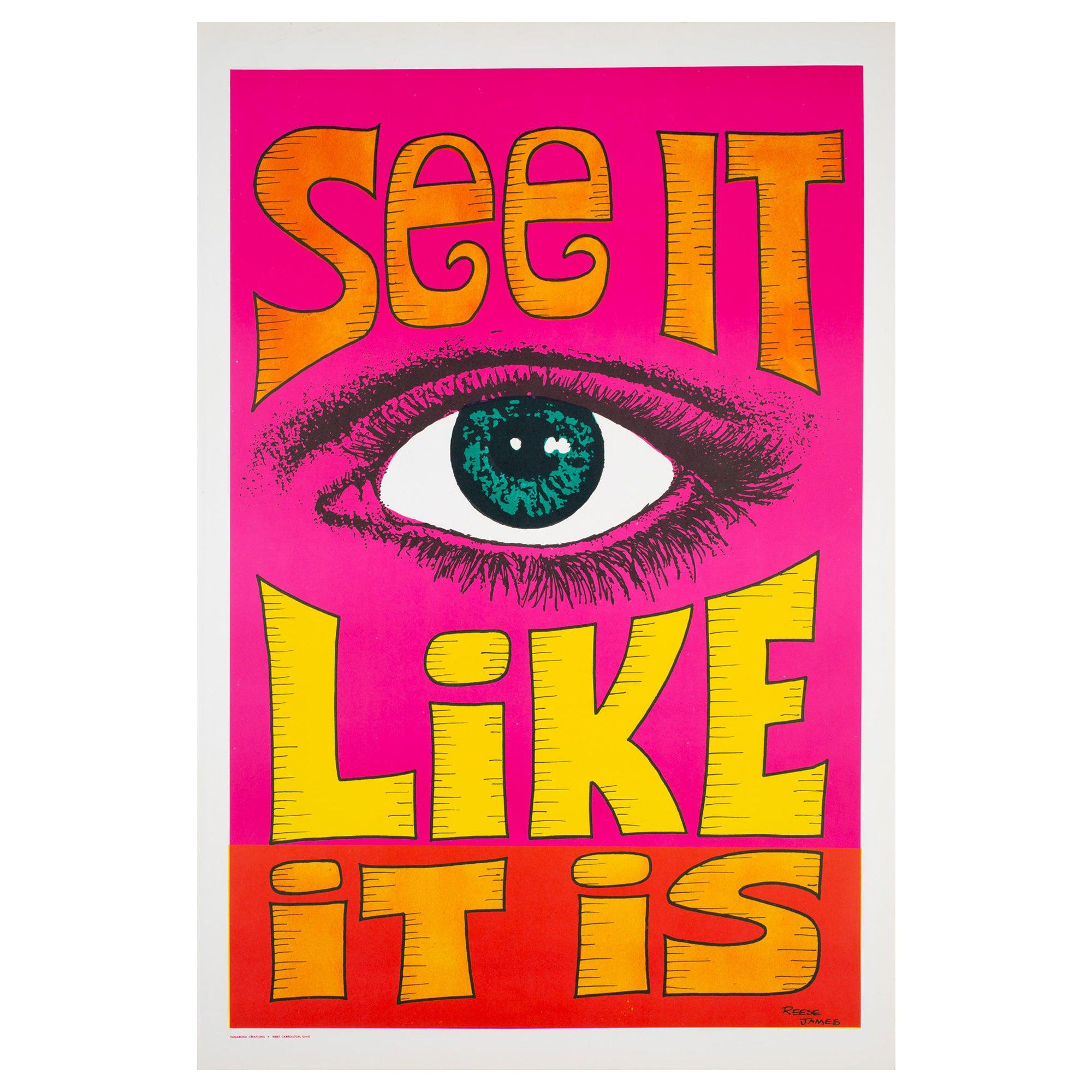 See It like It Is 1970s American Political/Protest Poster, Reese James