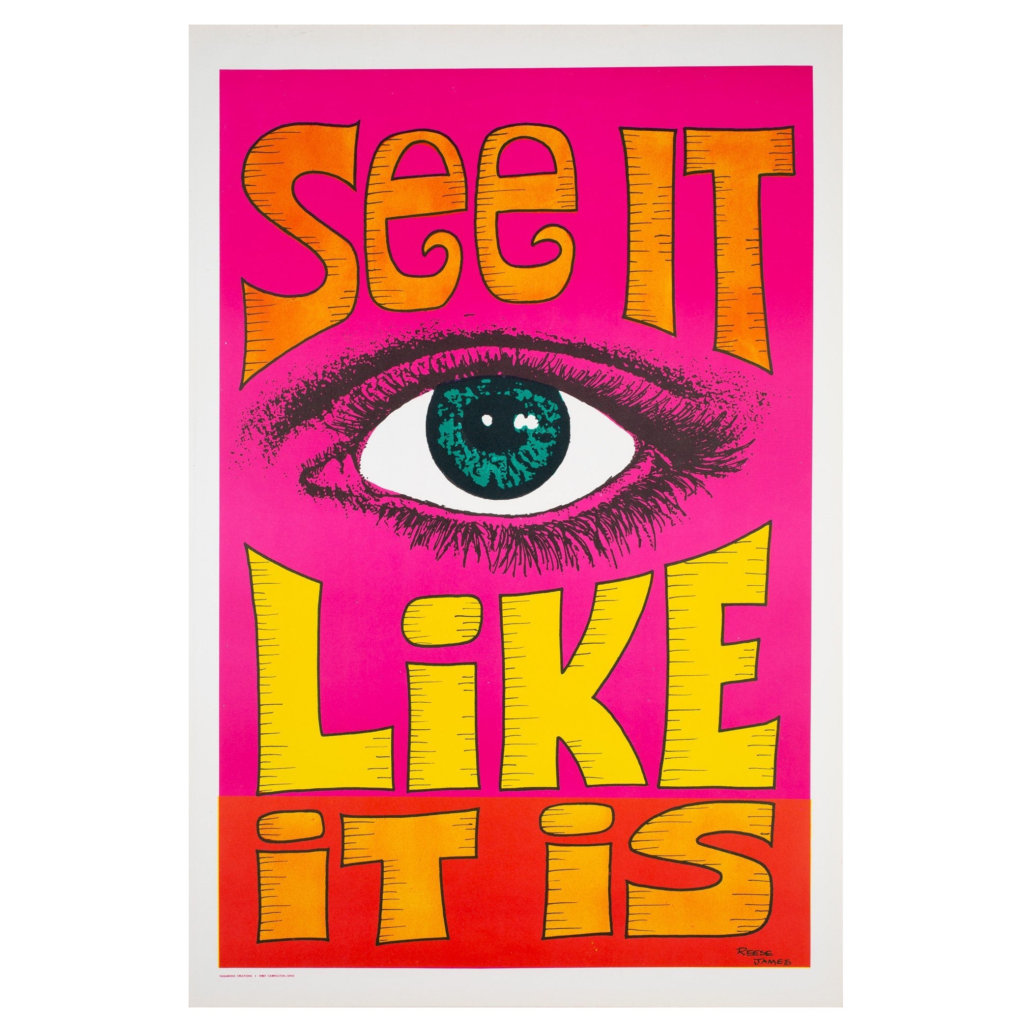 See It Like It Is 1970s American Political / Protest Poster, Reese James