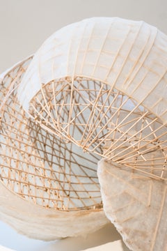Seed, 2015-2016, from the Unbuildable Concert Hall Series by Stephen Talasnik