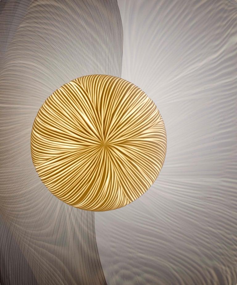 Seed light est né de l'admiration permanente de Vezzini et de Chen pour les objets intrigants et fascinants.
Formes de graines, leur première collection de luminaires muraux.