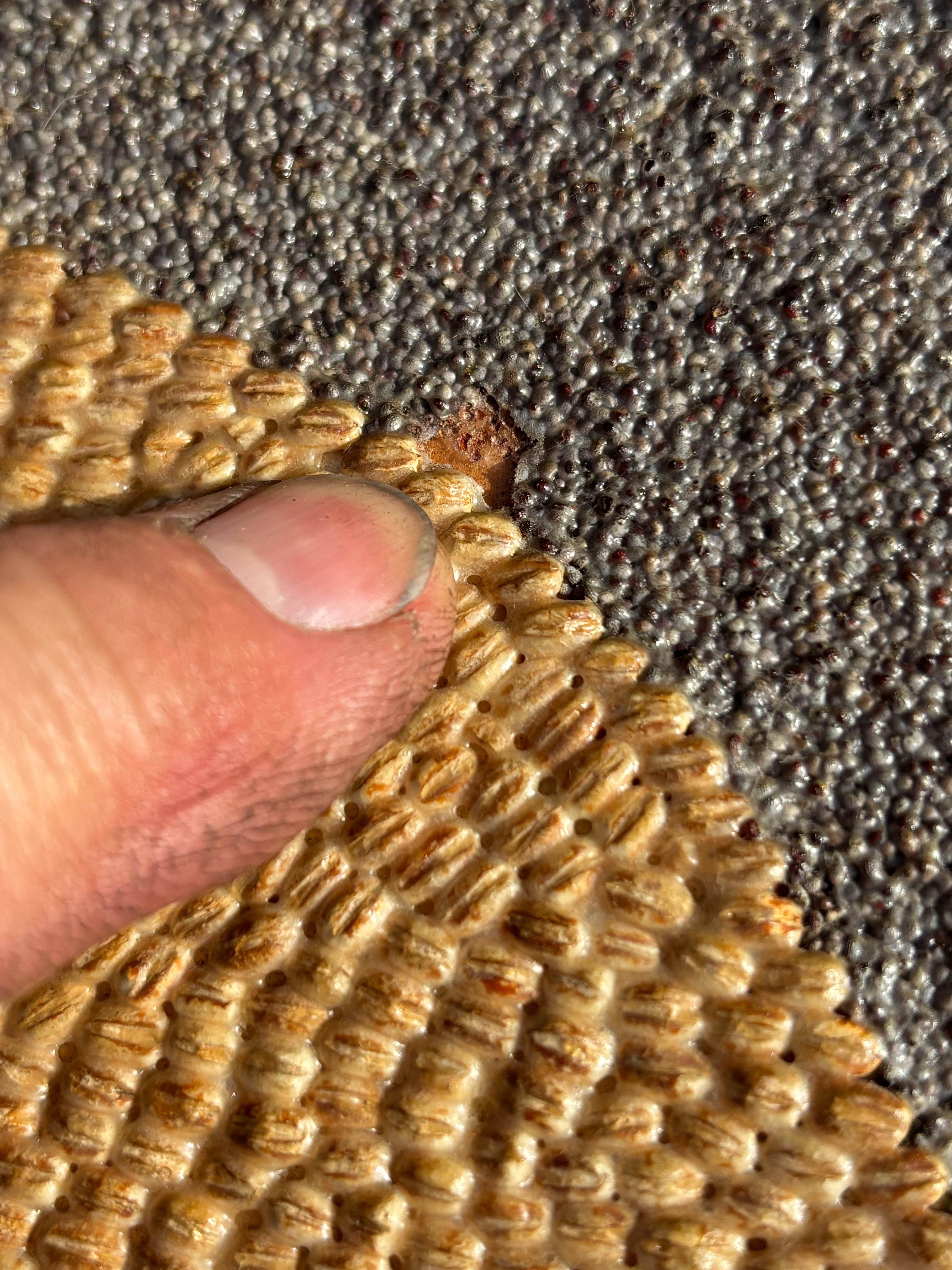 Saatgut-Portrait (Sonstiges) im Angebot