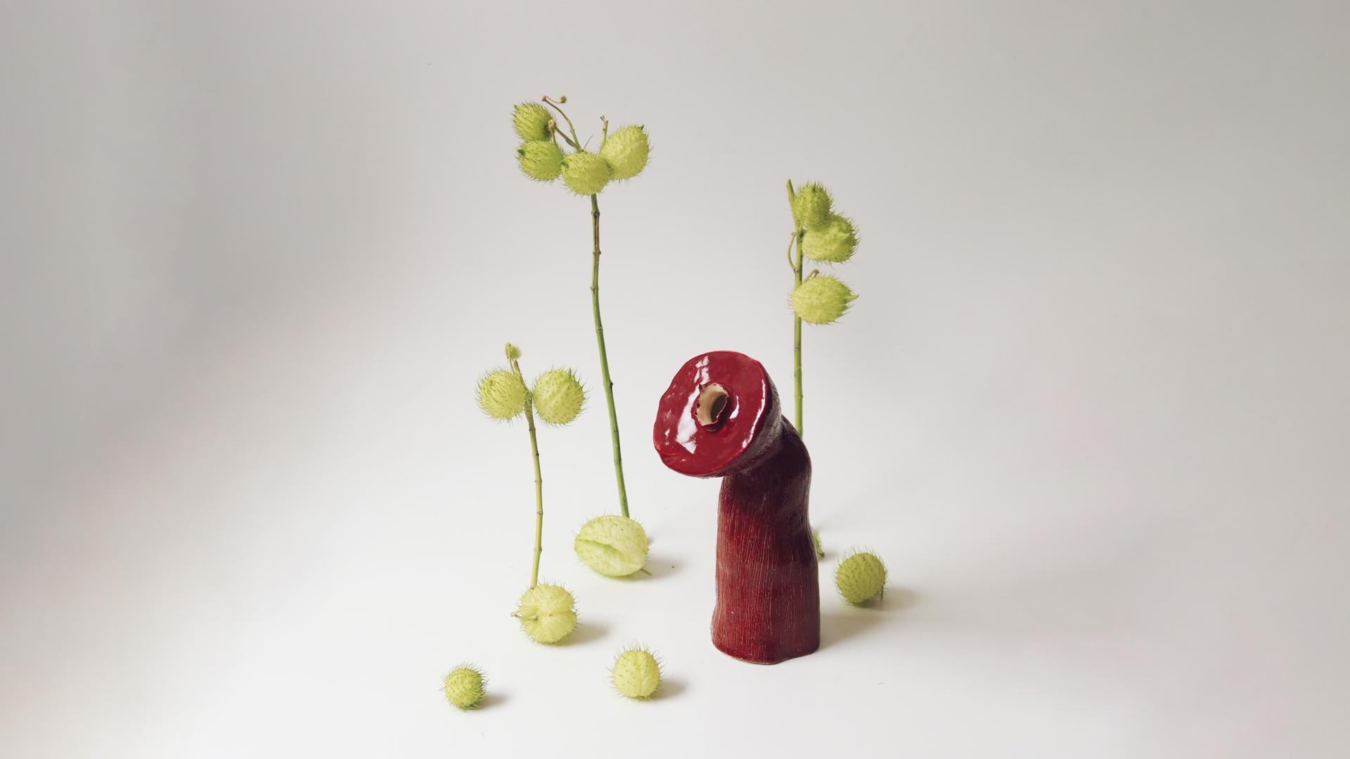 Modern Seed Vessel 03 by Jan Ernst For Sale