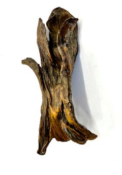 Cast Bronze Organic Husk Wall Mounted Abstract Textured Sculpture Seena Donneson