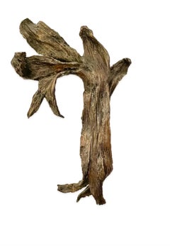 Escultura de bronce fundido con textura abstracta de cáscara orgánica montada en la pared Seena Donneson