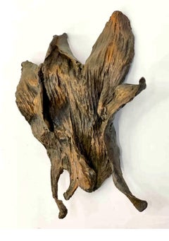 Cast Bronze Organic Husk Wall Mounted Abstract Textured Sculpture Seena Donneson