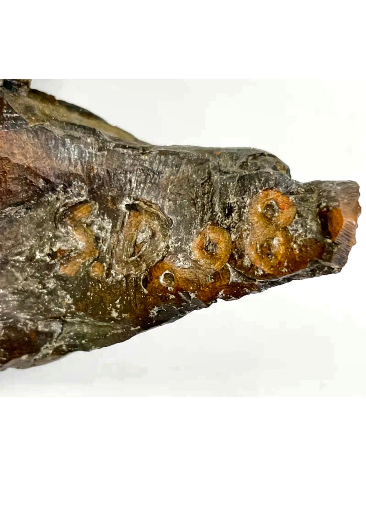 Cast Bronze Organic Husk Wall Mounted Abstract Textured Sculpture Seena Donneson For Sale 3