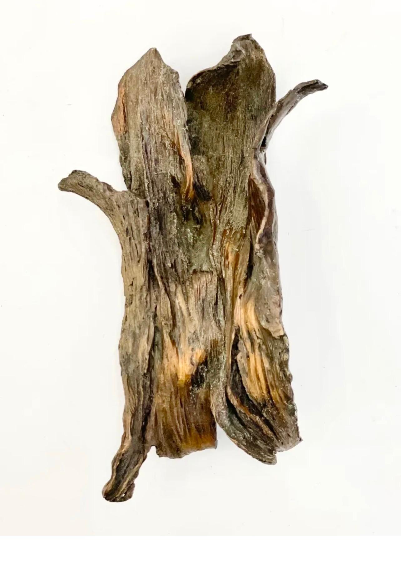 Il s'agit d'une sculpture abstraite basée sur la flore, réalisée à la main par Seena Donneson, une artiste reconnue.
Un bronze abstrait texturé à la patine riche et profonde. La sculpture est signée des initiales de l'artiste et datée. Il est