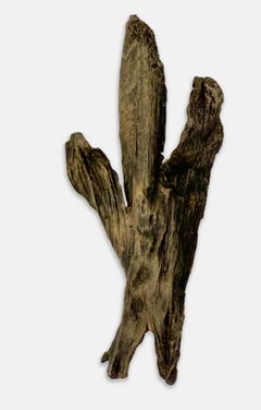 Abstract Sculptures