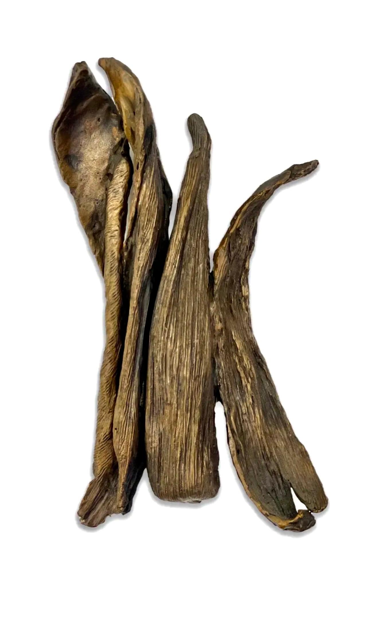 Il s'agit d'une sculpture abstraite de Flora réalisée à la main par Seena Donneson, une artiste reconnue.
Un bronze abstrait texturé avec une patine riche et profonde. La sculpture est signée avec les initiales de l'artiste et datée. Il est