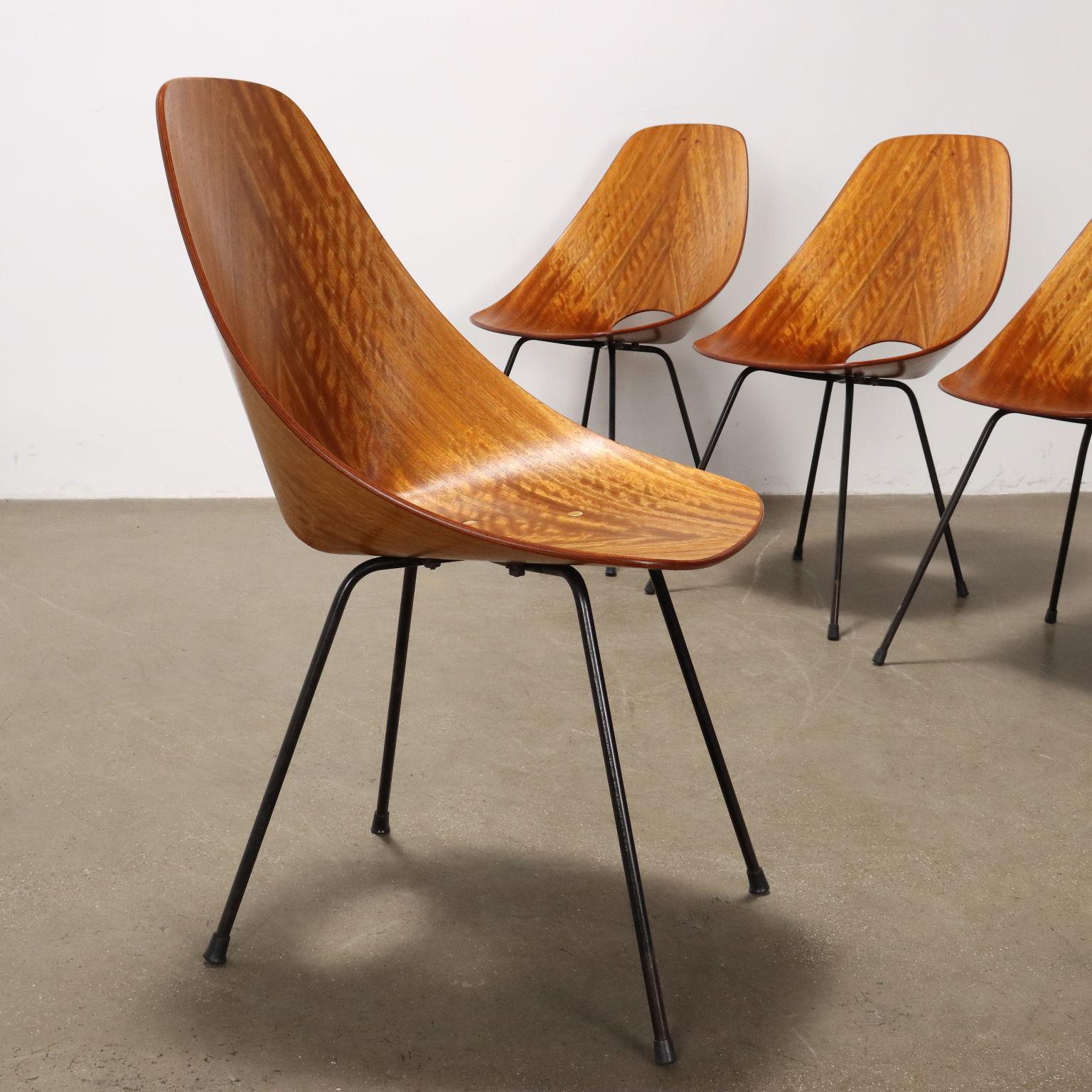 Sechs Vittorio Nobili 'Medea' Stühle für F.lli Tagliabue 1950-60er Jahre (Moderne der Mitte des Jahrhunderts) im Angebot
