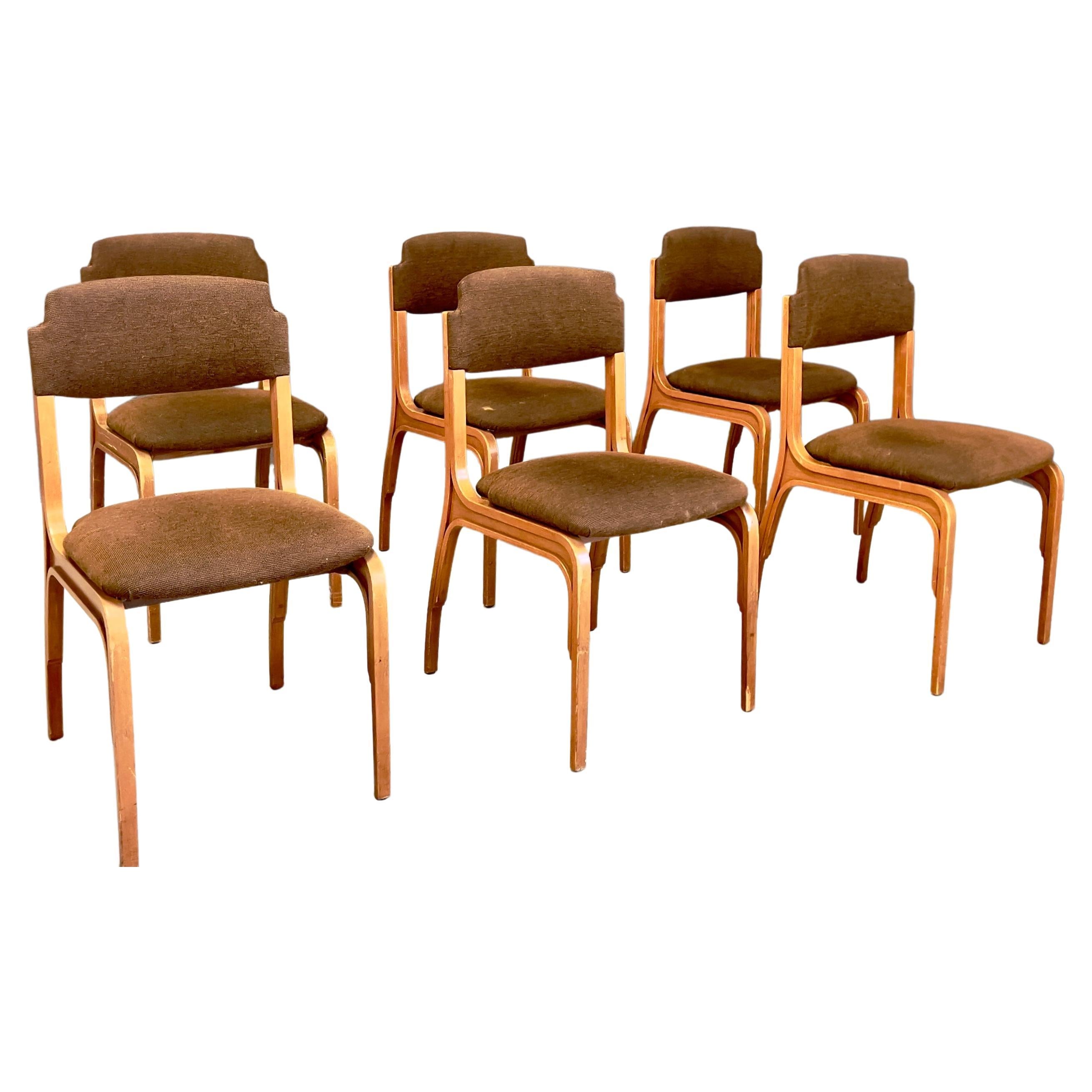 Six chaises pour Cantieri Carugati en vente