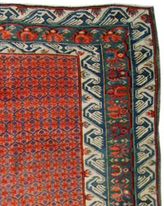 Antique Seichour Kuba Rug, 19th Century
