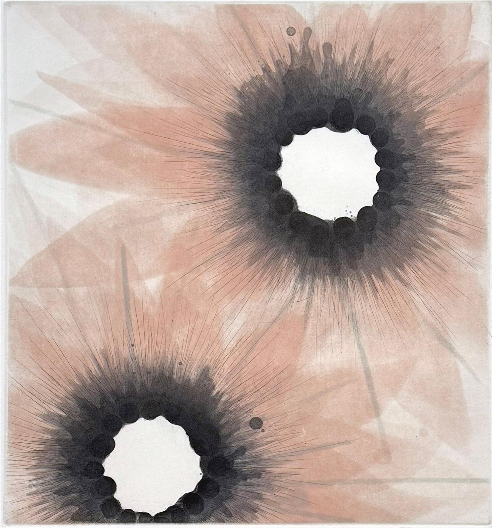 Medium: Etching,Aquatint
Image size: 12 × 11 
Sheet size: 22 × 18 in 
Edition of 30
Year: 2008
Signed and titled by the artist

While inspired by flowers, the blossom series shows the artist's penchant for abstract patterns. Signed, titled and