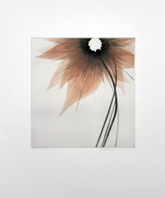 Connection-Blossom #5, di Seiko Tachibana