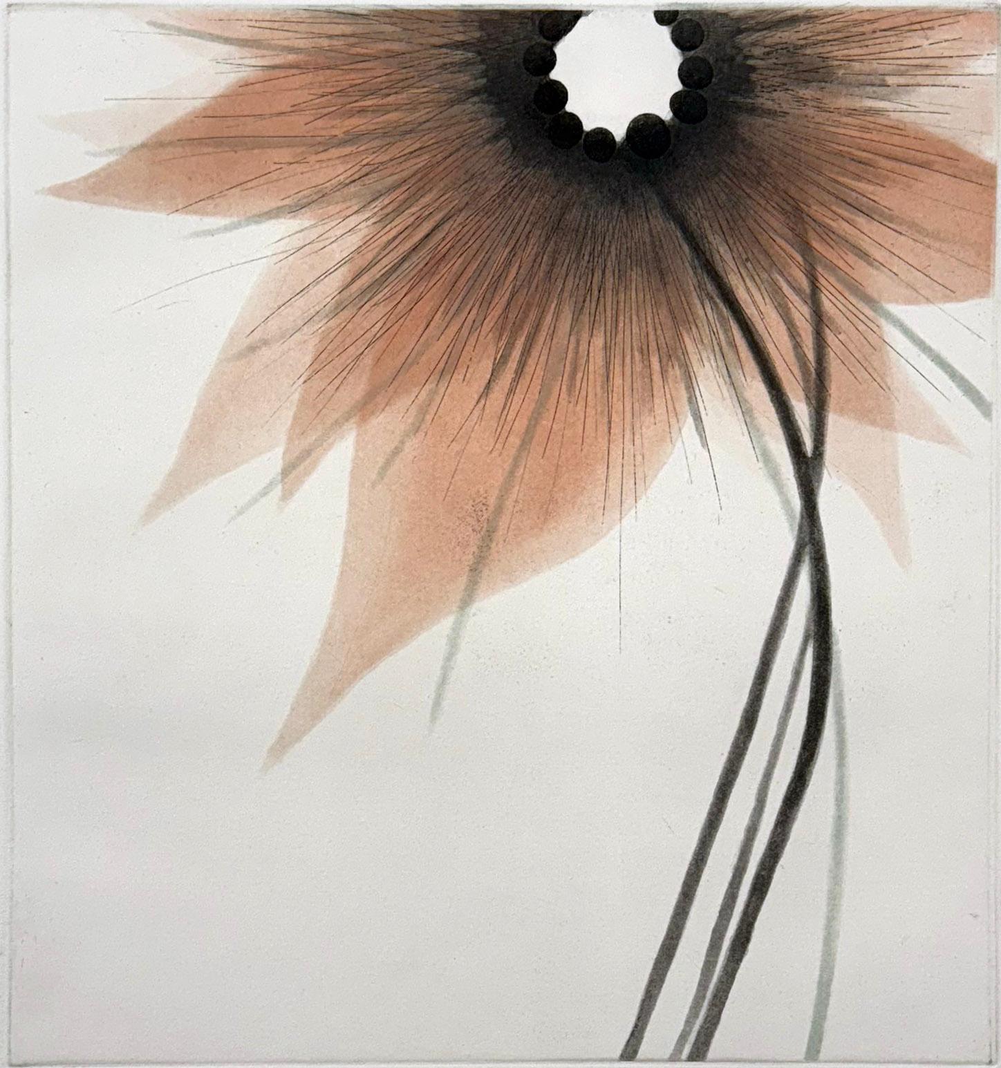 Medium: Etching,Aquatint
Image size: 12 × 11 
Sheet size: 22 × 18 in 
Edition of 30
Year: 2008
Signed and titled by the artist

While inspired by flowers, the blossom series shows the artist's penchant for abstract patterns. Signed, titled and