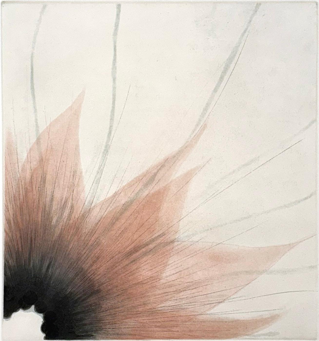 Medium: Etching,Aquatint
Image size: 12 × 11 
Sheet size: 22 × 18 in 
Edition of 30
Year: 2008
Signed and titled by the artist

While inspired by flowers, the blossom series shows the artist's penchant for abstract patterns. Signed, titled and