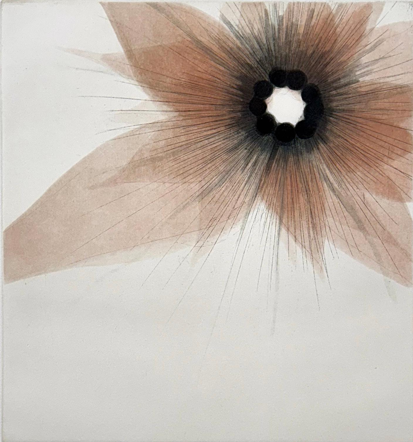 Medium: Radierung,Aquatinta
Bildgröße: 12 × 11 
Blattgröße: 22 × 18 Zoll 
Auflage von 30 Stück
Jahr: 2008
Signiert und betitelt vom Künstler

Die Blütenserie ist zwar von Blumen inspiriert, zeigt aber auch die Vorliebe des Künstlers für abstrakte